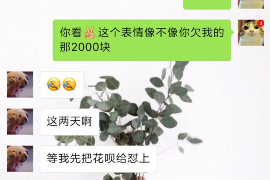 垦利贷款清欠服务